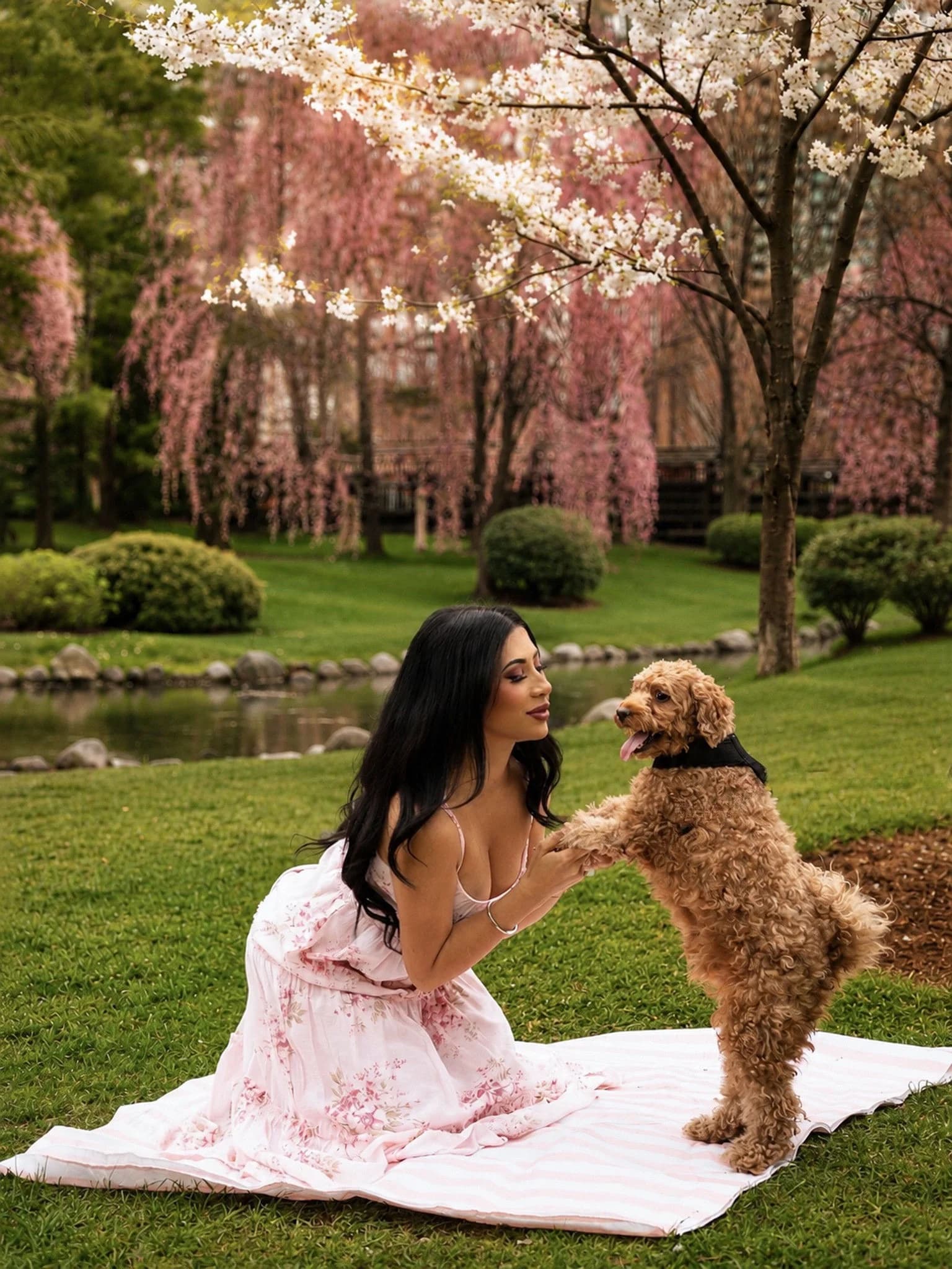 A woman in a pink floral dress with her dog under weeping cherry blossom trees by a pond.